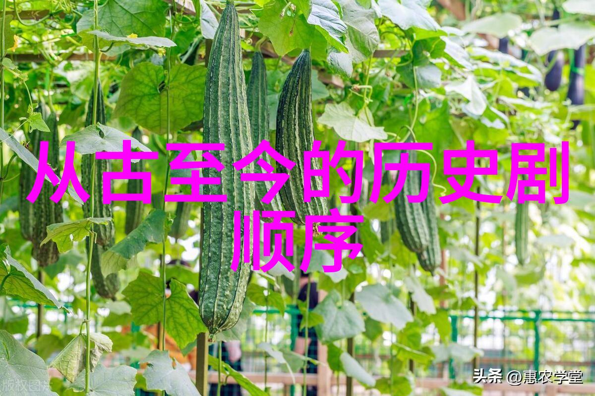郭子仪